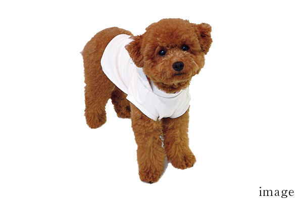 大切なペットと一緒に暮らせます | ベルジュール氷川台 ｜ 新築分譲マンション