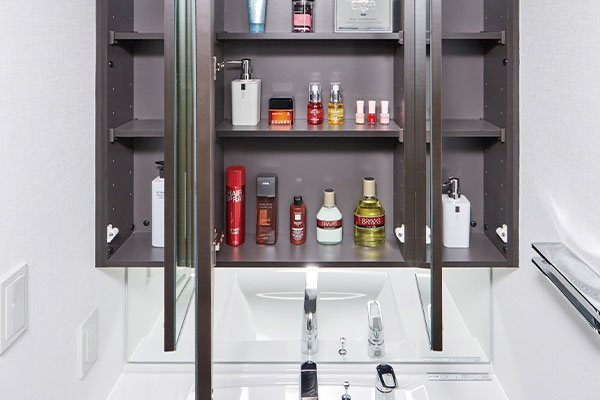 ウラ面収納付き三面鏡 | ベルジュール氷川台 ｜ 新築分譲マンション