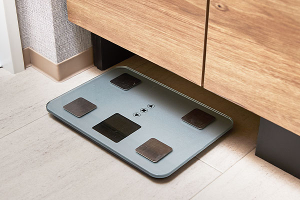 ヘルスメーター収納スペース | ベルジュール氷川台 ｜ 新築分譲マンション